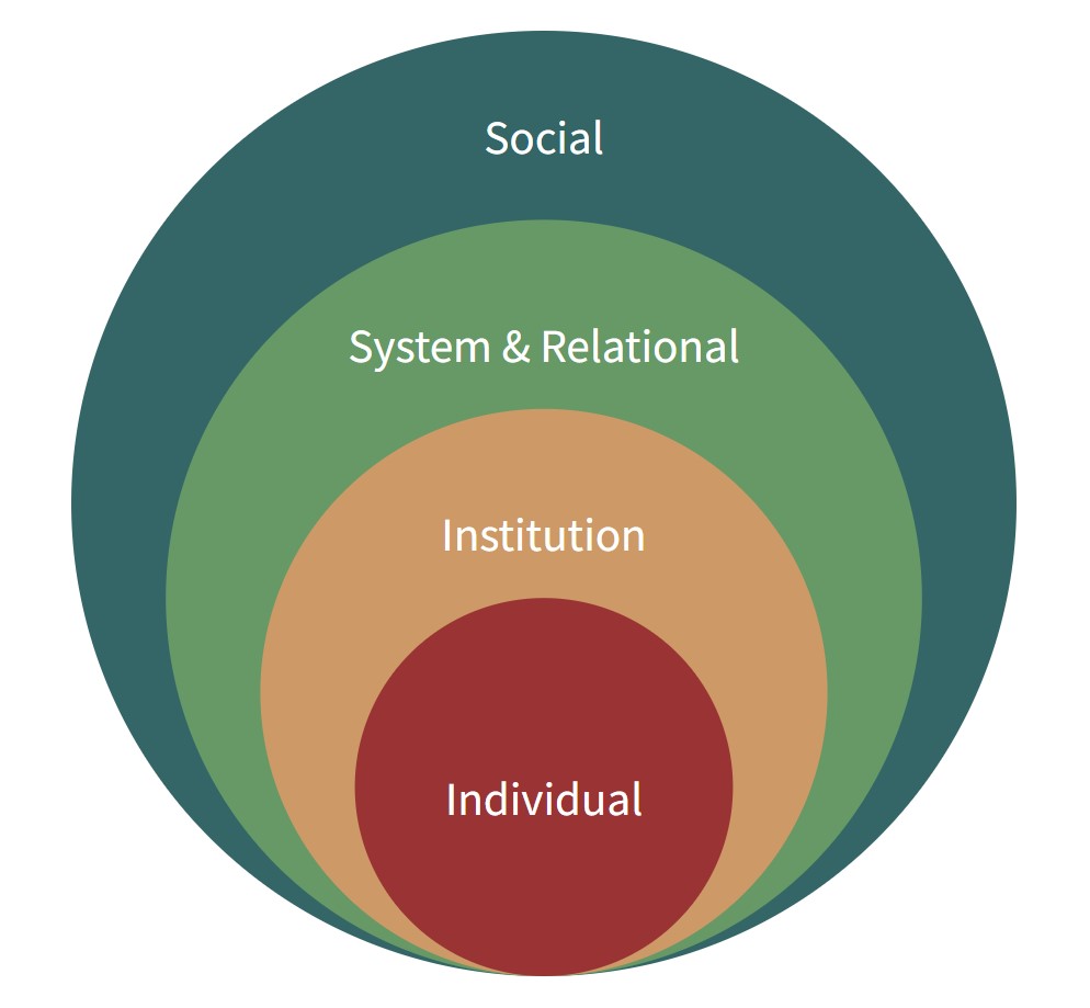 concentric circles representing different levels of connections, from the central to largest circle the levels read, individual, institution, system and relational, and social